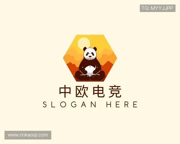 认识中欧电竞